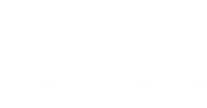Jewish Women Series™ Logo